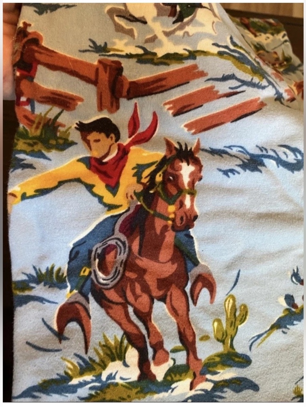 Twin sheets -Vintage Nick & Nora 
Rio Grande Cowboy Western 
3pc Set